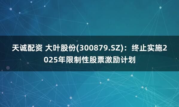 天诚配资 大叶股份(300879.SZ)：终止实施2025年限制性股票激励计划